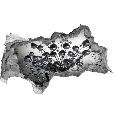 Fototapet 3D gaură în perete Picături de apă pe o păpădie