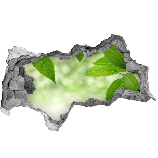 Autocolant gaură 3D O oază verde în beton