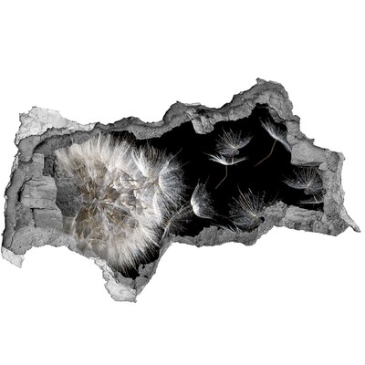 Autocolant gaură 3D Păpădii în spațiul negru