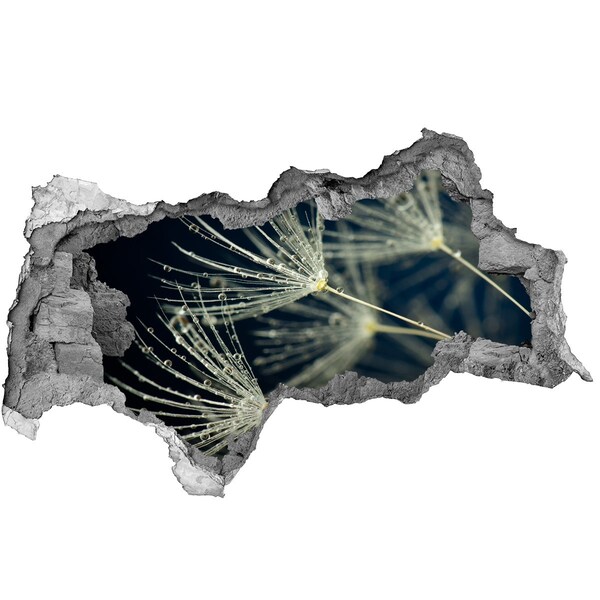 Autocolant de perete gaură 3D Flori de păpădie în apă