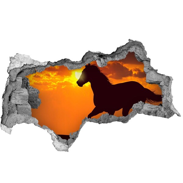 Fototapet un zid spart cu priveliște Cal la apus