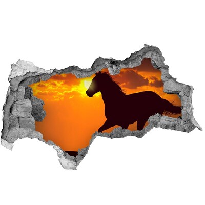 Fototapet un zid spart cu priveliște Cal la apus