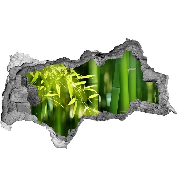 Autocolant autoadeziv gaură Pădure verde de bambus