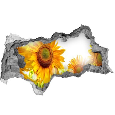 Fototapet 3D gaură în perete Un vis floral în spatele peretelui