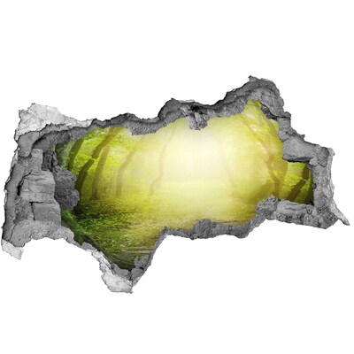 Autocolant un zid spart cu priveliște Pădurea verde în razele soarelui