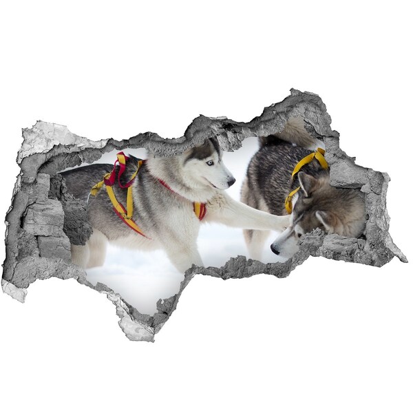 Autocolant 3D gaura cu priveliște Husky siberian în acțiune
