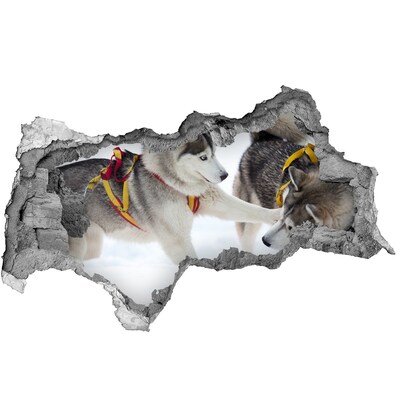 Autocolant 3D gaura cu priveliște Husky siberian în acțiune