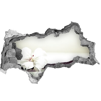 Autocolant autoadeziv gaură Vedere florală prin perete