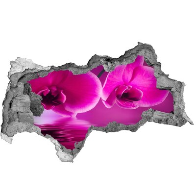 Fototapet 3D gaură în perete Orhidee