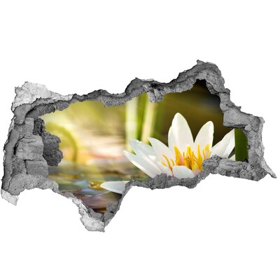 Fototapet un zid spart cu priveliște nufăr
