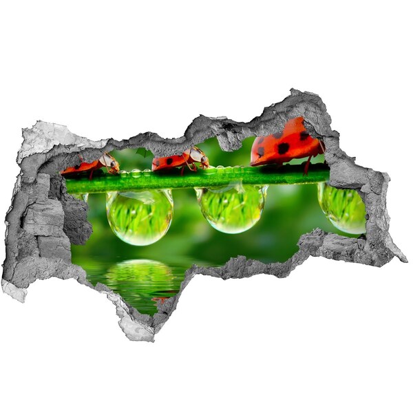 Autocolant 3D gaura cu priveliște O picătură de natură cu o buburuză