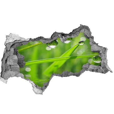Autocolant gaură 3D Oază verde cu picături de apă