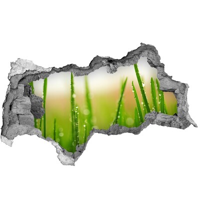 Autocolant un zid spart cu priveliște Pajiște verde cu picături de apă