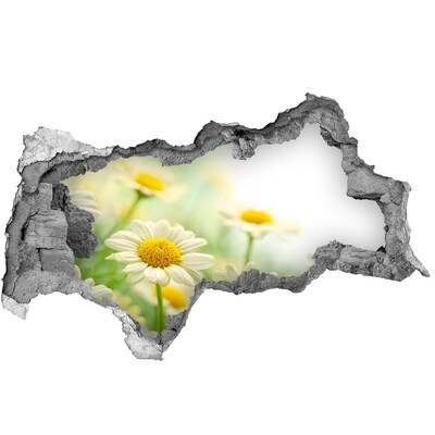 Fototapet 3D gaură în perete Un paradis al florilor în spatele zidului