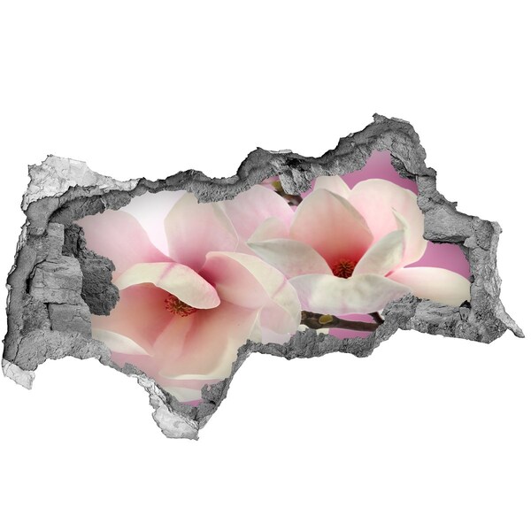 Fototapet 3D gaură în perete Un vis floral în spatele peretelui