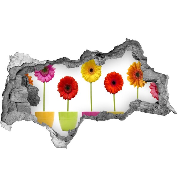 Autocolant gaură 3D Flori în ghivece printr-o gaură în perete