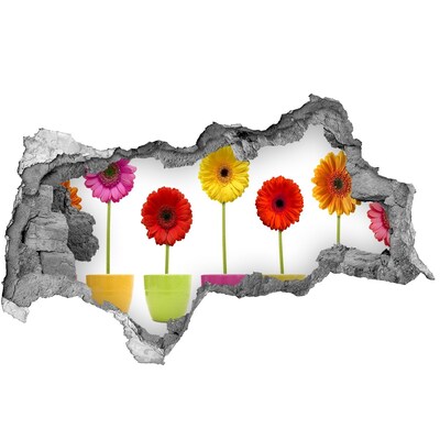 Autocolant gaură 3D Flori în ghivece printr-o gaură în perete