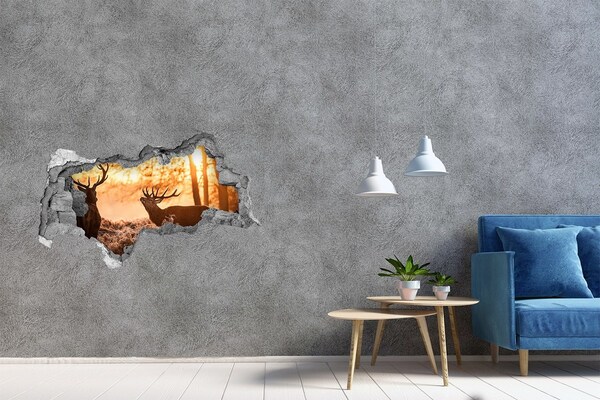 Autocolant de perete gaură 3D Răsărit de soare în pădure