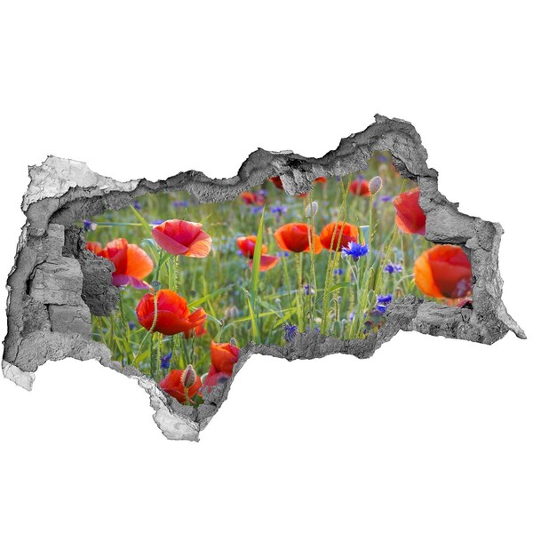 Fototapet un zid spart cu priveliște Un paradis al florilor în spatele zidului