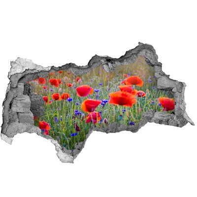 Fototapet 3D gaură în perete flori de câmp