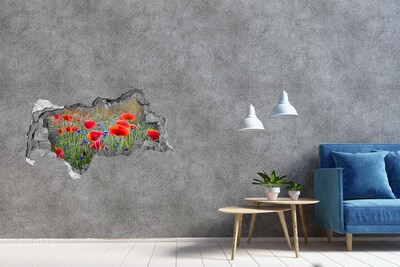 Fototapet 3D gaură în perete flori de câmp