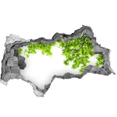 Fototapet un zid spart cu priveliște O oază verde în spatele zidului