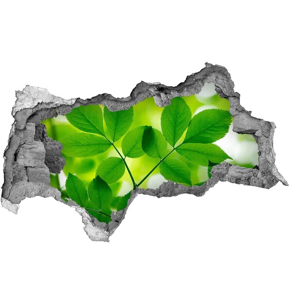 Autocolant 3D gaura cu priveliște O oază verde în beton