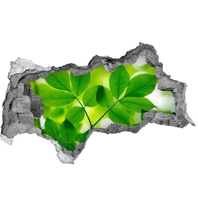 Autocolant 3D gaura cu priveliște O oază verde în beton