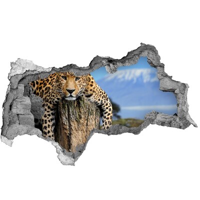 Fototapet 3D gaură în perete Leopard pe un ciot de copac