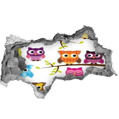 Autocolant gaură 3D Bufnițe colorate pe o ramură