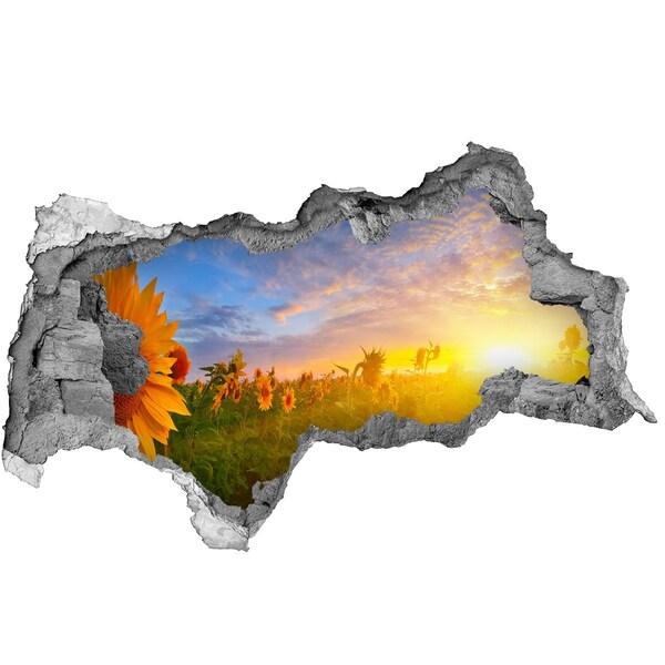 Autocolant de perete gaură 3D Floarea-soarelui la apus
