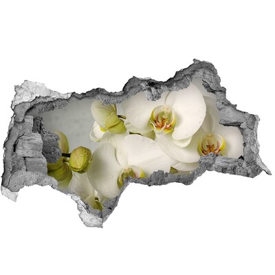 Autocolant autoadeziv gaură alb orhidee