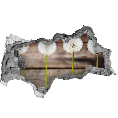 Autocolant gaură 3D Flori de păpădie în ruine