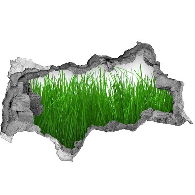 Autocolant autoadeziv gaură Pajiște verde printr-o gaură în perete