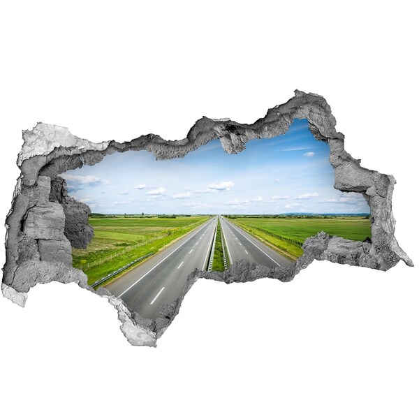 Fototapet 3D gaură în perete O cărare printre verdeață