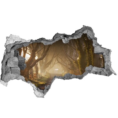 Autocolant autoadeziv gaură O cărare printre copaci