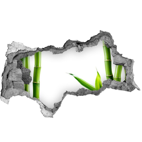 Autocolant autoadeziv gaură Plantă verde printr-o gaură în perete