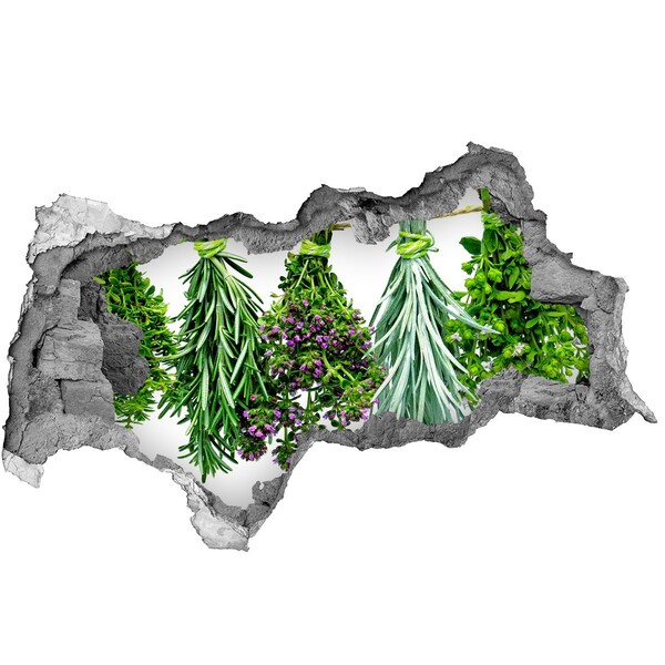 Fototapet un zid spart cu priveliște Grădina de plante aromatice „Gauă în perete”