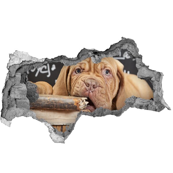 Autocolant gaură 3D Un cățeluș dulce printre cărți