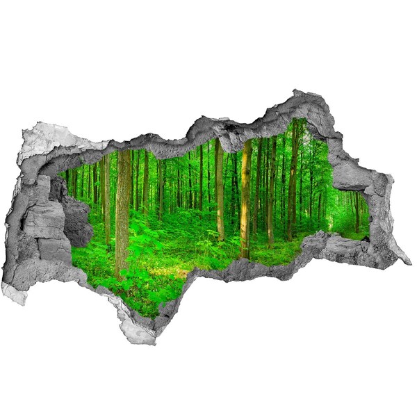 Autocolant 3D gaura cu priveliște Pădurea verde într-o gaură în perete
