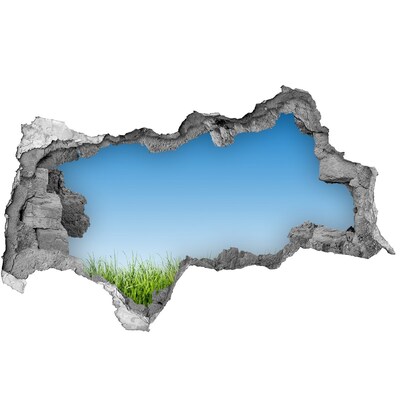 Autocolant de perete gaură 3D Pajiște verde sub un cer albastru