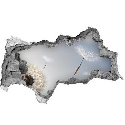 Fototapet 3D gaură în perete Păpădii în nori