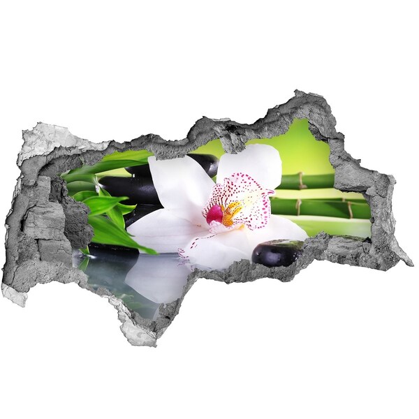 Fototapet un zid spart cu priveliște O oază florală de pace