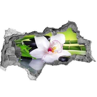 Fototapet un zid spart cu priveliște O oază florală de pace