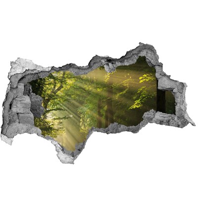 Fototapet 3D gaură în perete Oaza de Lumină din Pădure