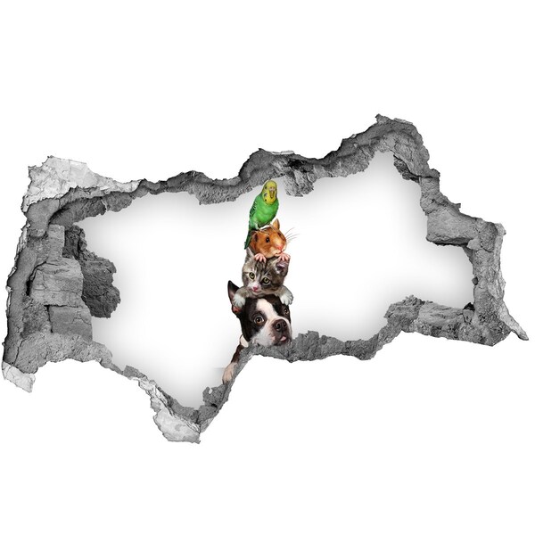 Fototapet 3D gaură în perete Turnul Prieteniei Animalelor