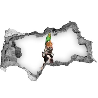 Fototapet 3D gaură în perete Turnul Prieteniei Animalelor