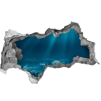 Autocolant de perete gaură 3D Lumea subacvatică a coralilor