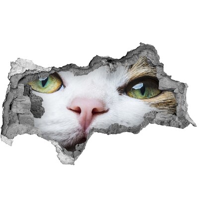 Autocolant 3D gaura cu priveliște Pisica din perete