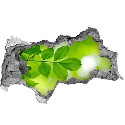 Autocolant un zid spart cu priveliște O oază verde în beton